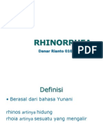 Rhinorea