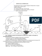 30935821 3 4 Hemostaza Si Fibrinoliza