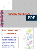 6 y 7 Transcripcion y Traduccion Genetica