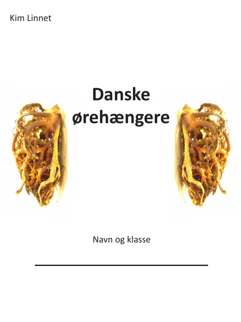 Danske | PDF