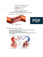 Rangkuman Pembuluh Darah