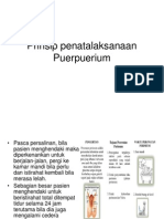 Prinsip Penatalaksanaan Puerpuerium
