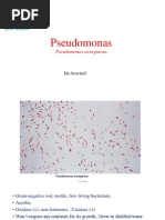 Download Pseudomonas by drparachuru SN172919461 doc pdf