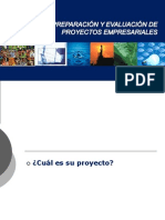 Proyectos (Introduccion Mercado)