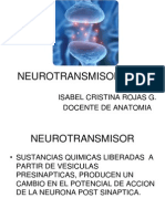 Neurotransmisores Hoy