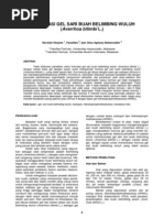 Download belimbing wuluh by Hendri SN172935877 doc pdf