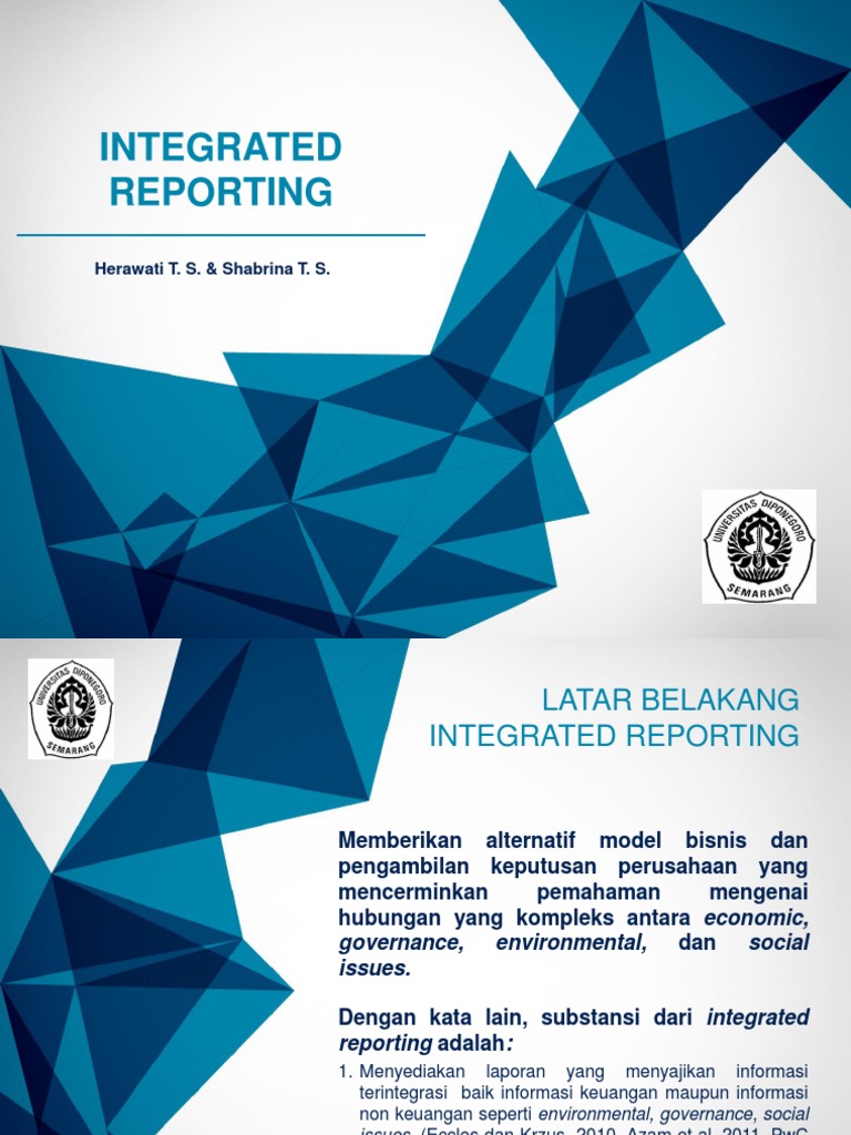 Integrated Reporting Insights | PDF | Business | Finance & Money Management