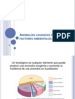 Anomalías Causadas Por Factores Ambientales