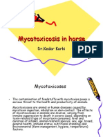 Mycotoxicosis in Horse