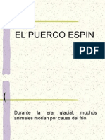 El Puerco Espin