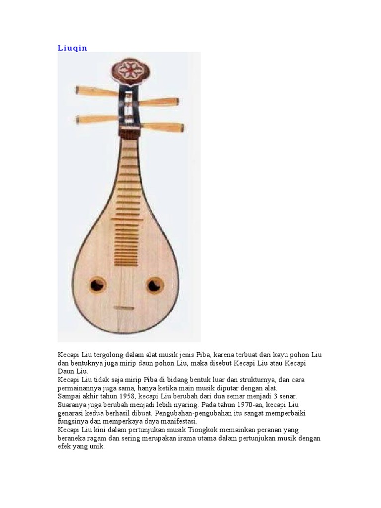 Cina Tradisional Alat Musik Zhong Ruan Bulan Gitar Dengan Case Lute Aliexpress