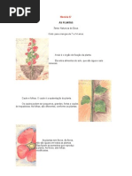 Espiritismo Infantil História 57