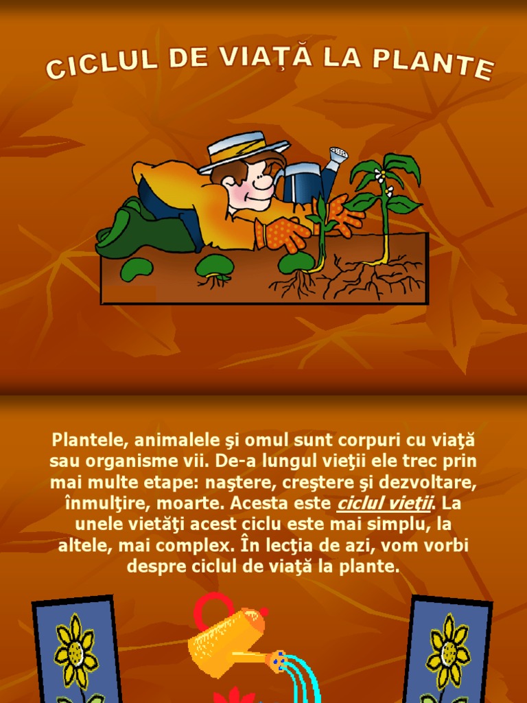 Ciclul de Viata Al Plantelor