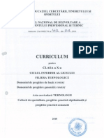 Curriculum Tehnic Comert 10