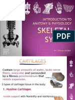 Introduction To Human Anatomy - Skeletal System - W1 V2003