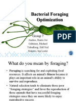 Bacterial Foraging Optimization