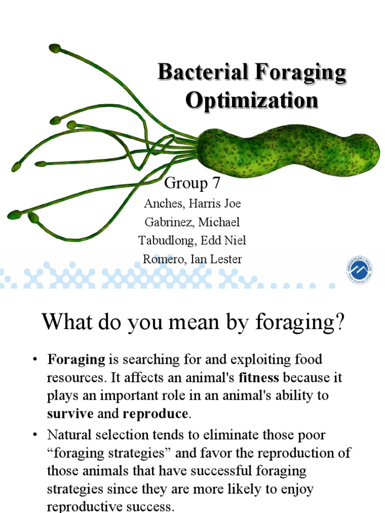 Bacterial Foraging Optimization Overview | PDF | Chemotaxis | Bacteria