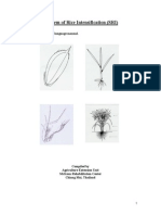 System of Rice Intensification (SRI)