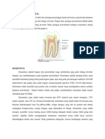 Jaringan Periodontal