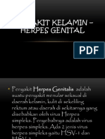 4penyakit Kelamin - Herpes Genital