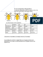 Cladograma Escarabajos
