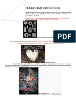 APÉNDICE I Esquema Taxonómico