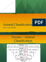 Anthropoda - Animal Classification