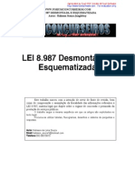 Lei 8.987 Desmontado PDF