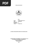 Download Isolasi Dna Buah by Medina Fadlilatus Syaadah SN173087662 doc pdf