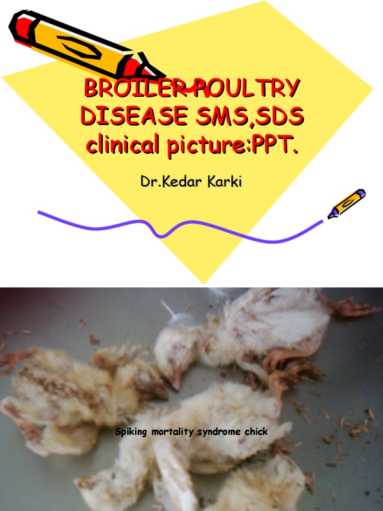 Broiler Poultry Disease | PDF