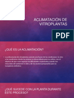 ACLIMATACIÓN DE VITROPLANTAS (5)