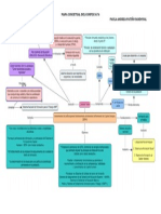 Mapa Conceptual Del Conpes 3674