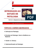 Aula 1 Introducao Patologia Profa Elizabeth Sales