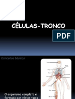Celulas Tronco