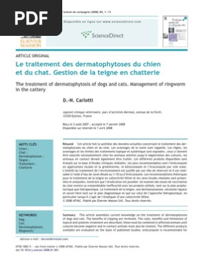 Le Traitement Des Dermatophytoses Du Chien Chats Chiens