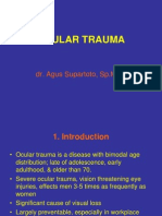 Dr. Agus Supartoto (OCULAR TRAUMA Dr. As-Ali 2 Oktober