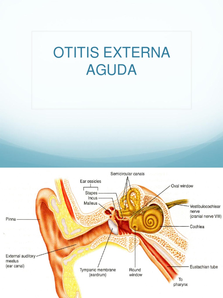 Otitis Externa PDF Inmunología Ciencias de la Salud