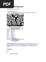 Download Bacillus Thuringiensis by lalit krupal SN17321452 doc pdf