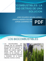 Los Biocombustibles Pifi 2013-02