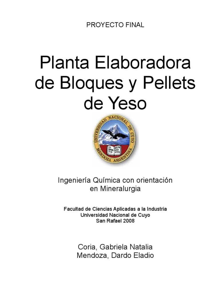 Proyecto Final - Planta elaboradora de yeso pelletizado y bloques de yeso