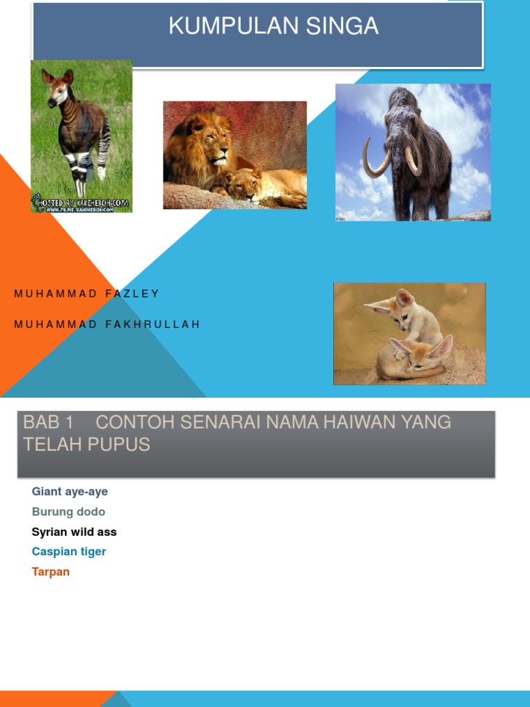 Kumpulan Singa Pptx