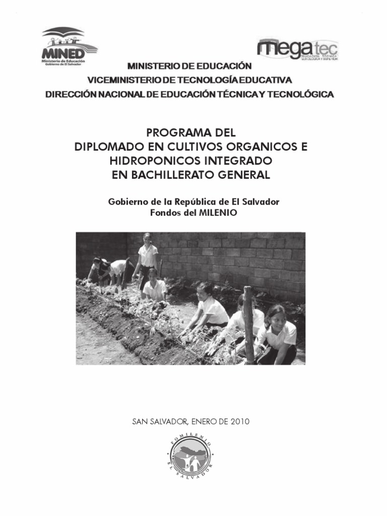 Cultivo Hidropnico Qu Cmo Cundo Quin Dnde Y Por Qu