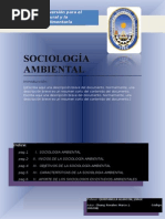 1 sociologia ambiental