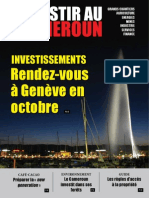 Investir Au Cameroun 5