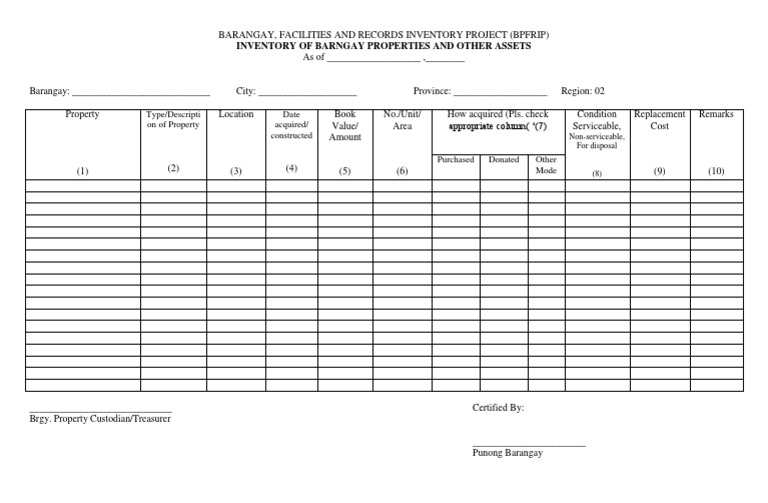 Barangay Property Inventory Report | PDF