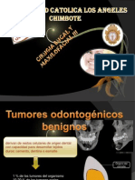 Tumores Benignos Odontogenicos Eu