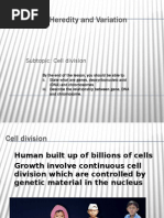 Cell Division Science Form 4