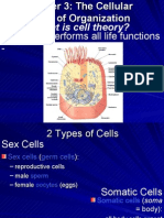 Cell Structure IV