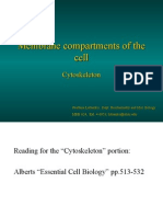 Cell Structure V