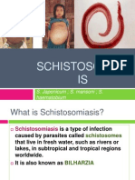 Schistosomiasis